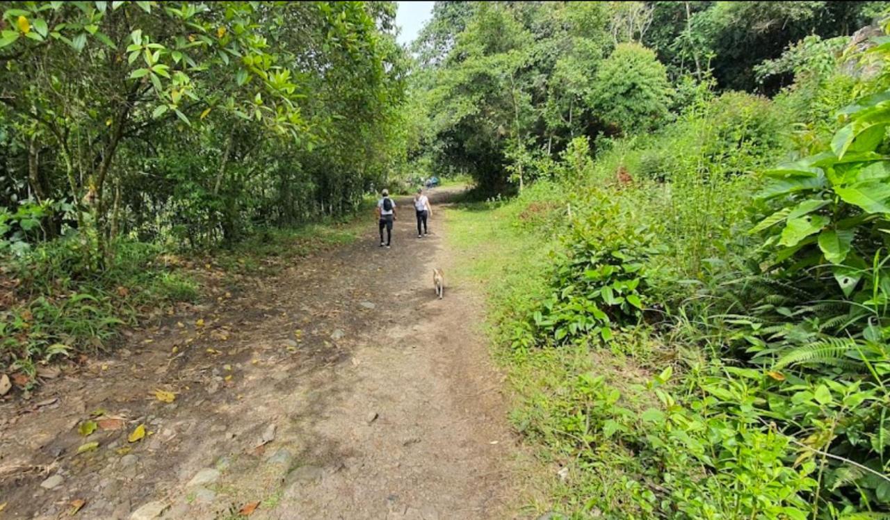 Finca Villa Chalet Del Rio Cali Farm Villa Chalet Cali River Buitenkant foto
